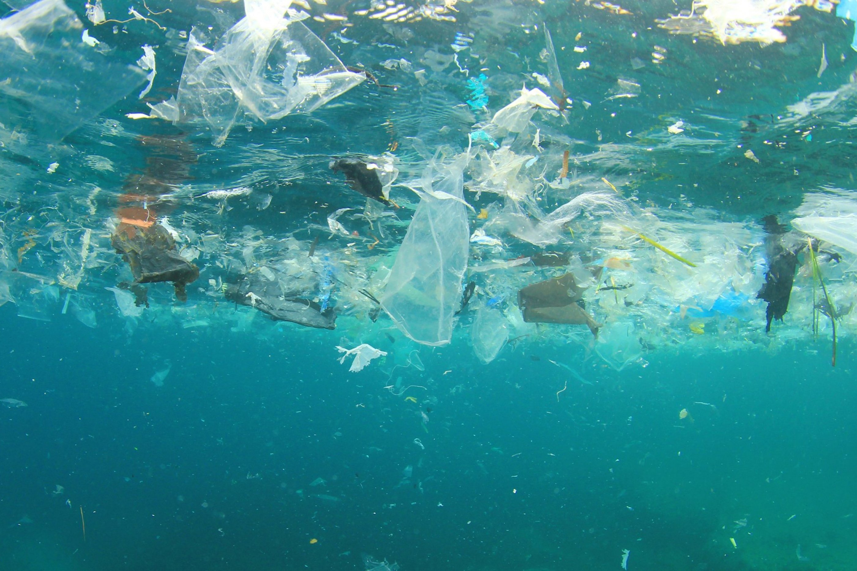 Plastikmüll im Meer