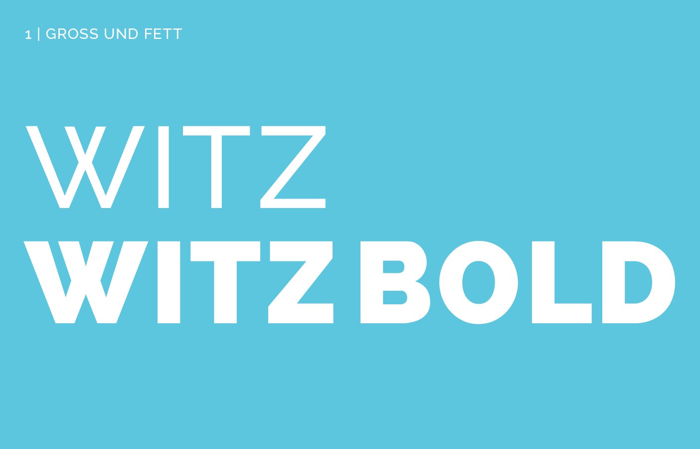 Schrift "Witz" und "Witzbold" in weiß auf blau