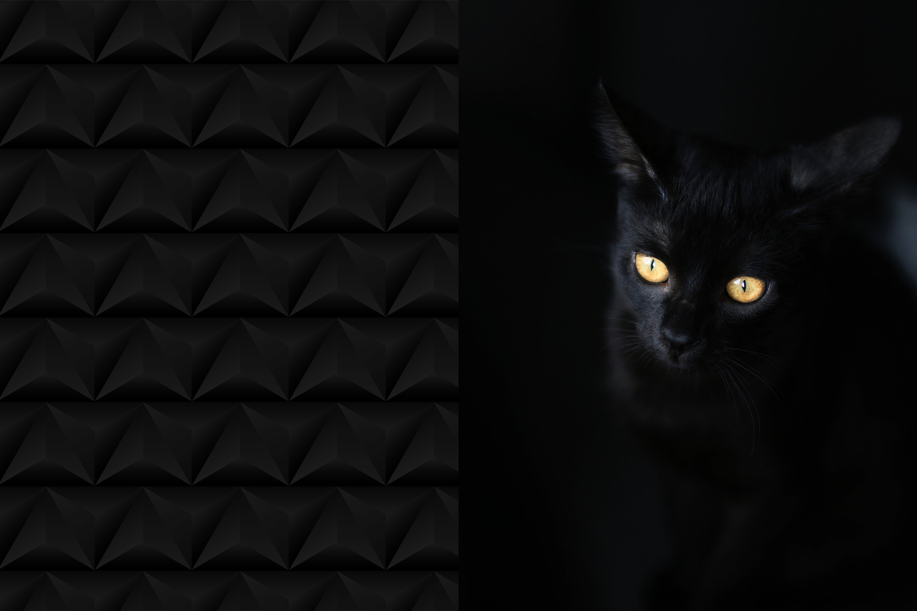 Schwarze Textur und schwarze Katze mit leuchtenden Augen bei Nacht