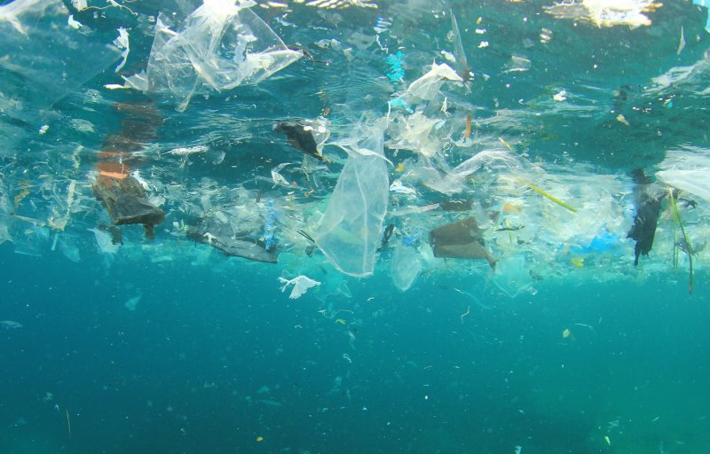 Plastikmüll im Meer